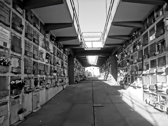 Tour TNC, Cementerio 3 de Playa Ancha Tour TNC, Cementerio 3 de Playa Ancha